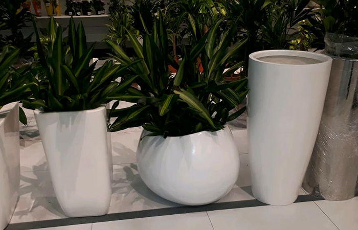 Grp flower pots